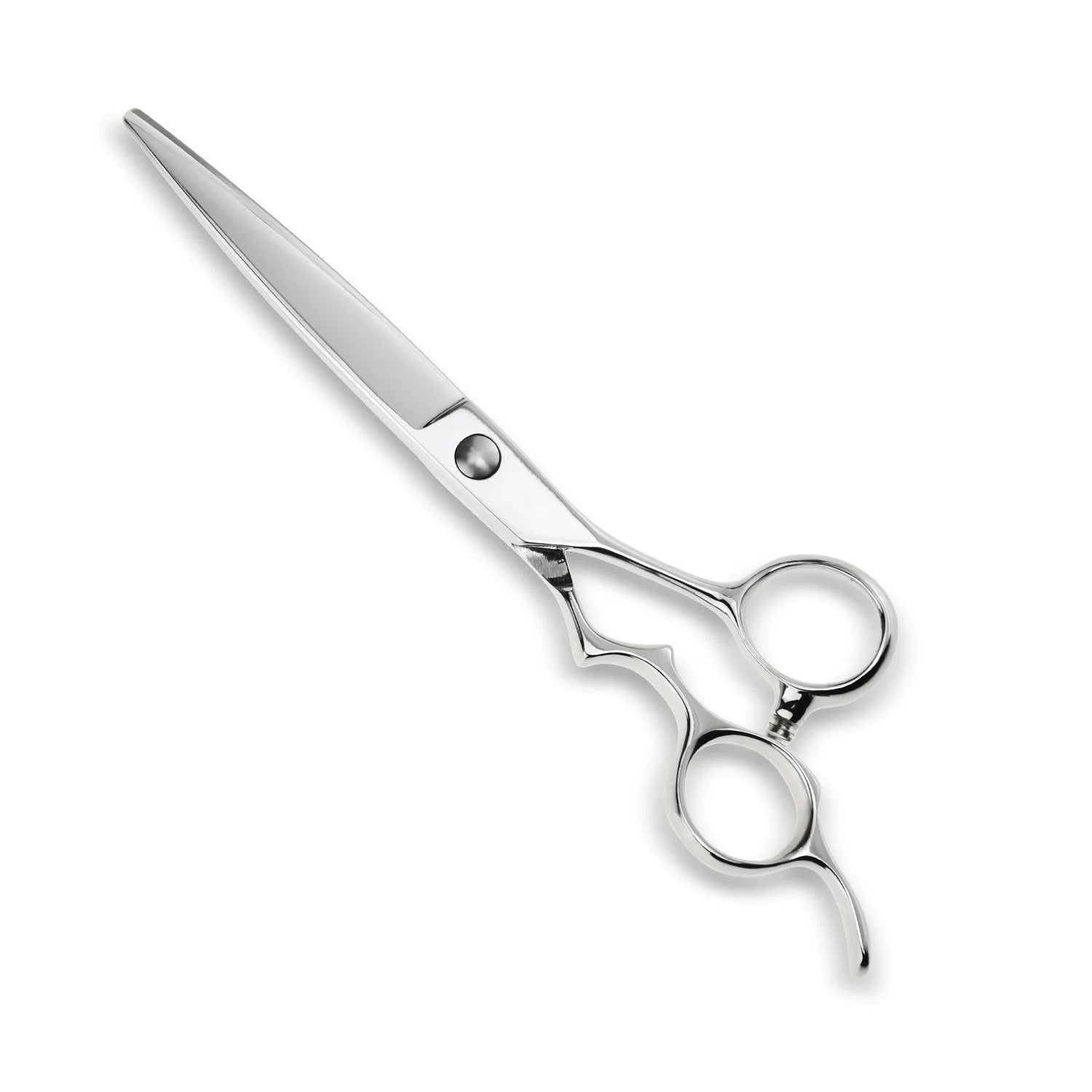 Above Ergo D Hair Cutting/Sliding Shears